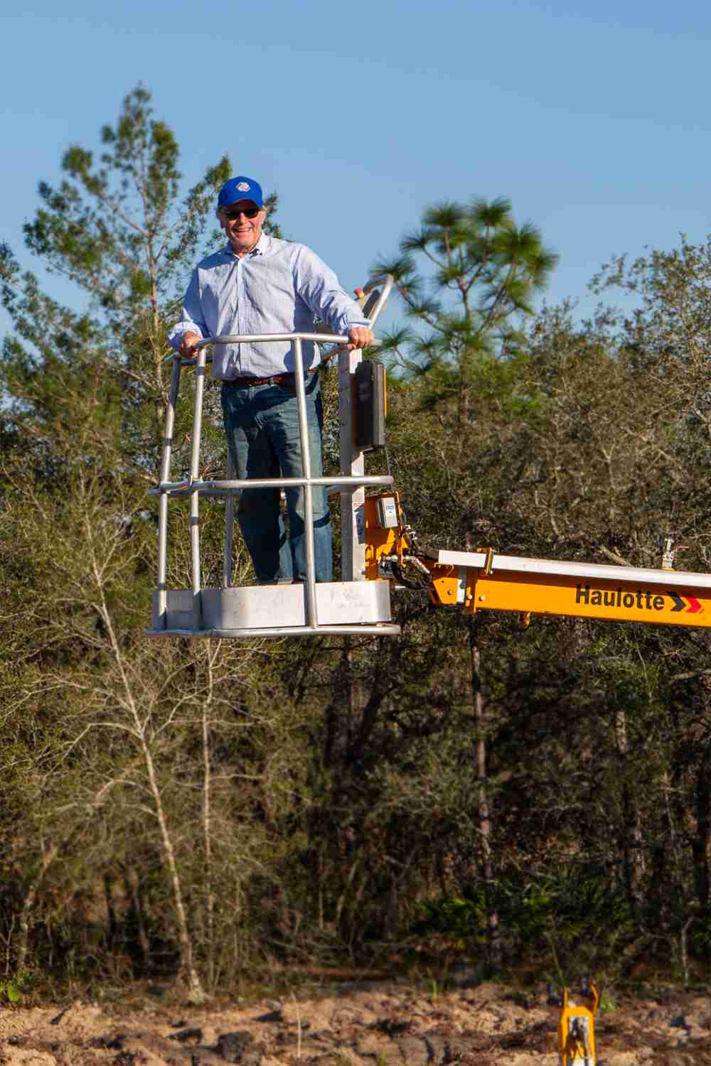 Tree Removal